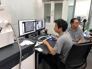 公共技術服務中心開展蔡司掃描電鏡培訓，提升技術服務水平